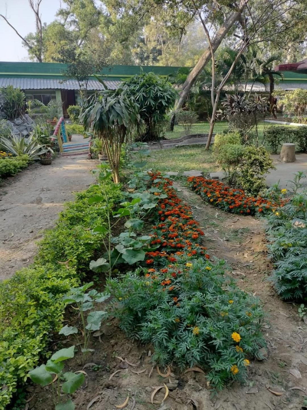 Lucky Beach Resorts , Balasore Chandipur Dış mekan fotoğraf
