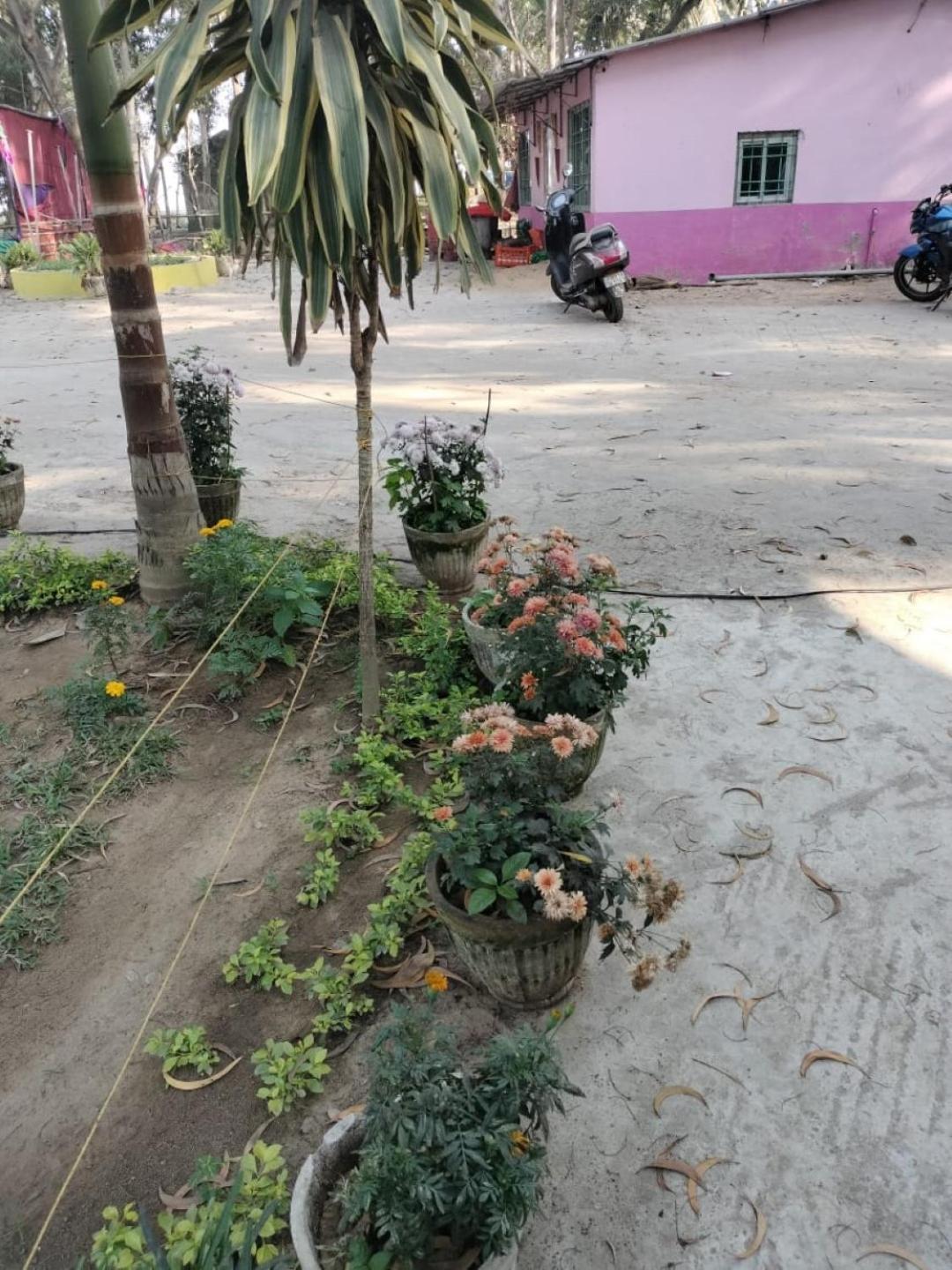 Lucky Beach Resorts , Balasore Chandipur Dış mekan fotoğraf