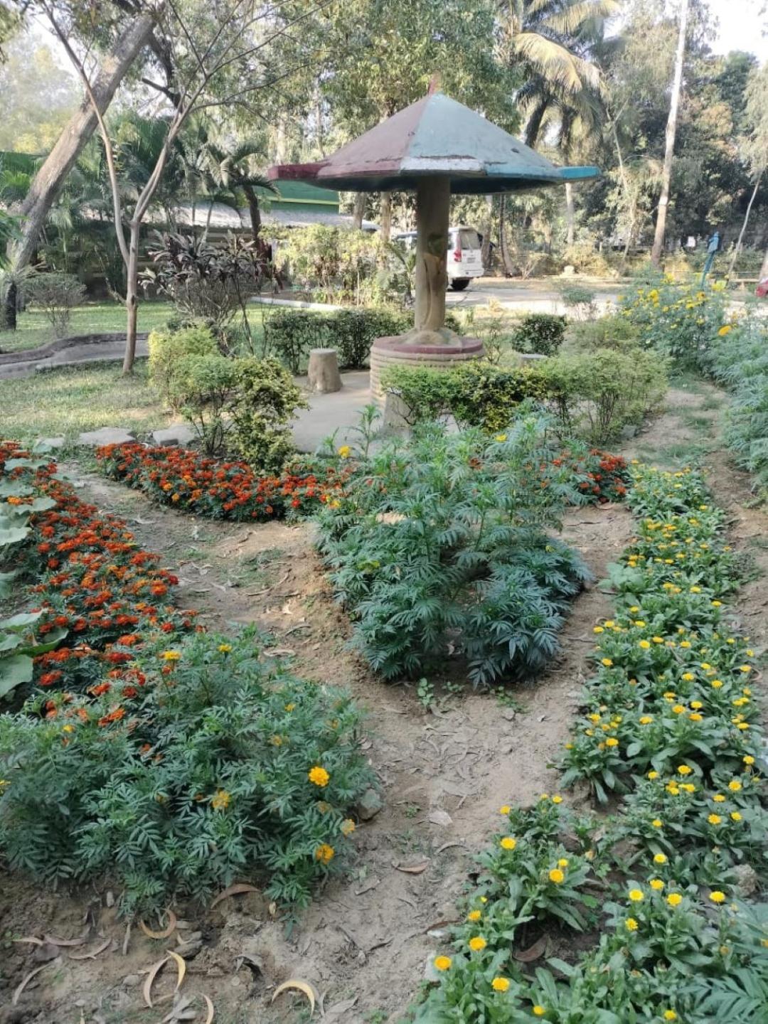 Lucky Beach Resorts , Balasore Chandipur Dış mekan fotoğraf