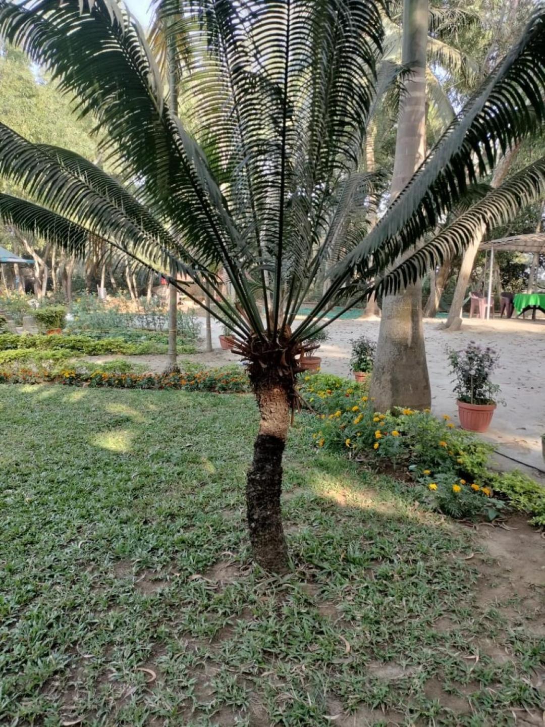Lucky Beach Resorts , Balasore Chandipur Dış mekan fotoğraf
